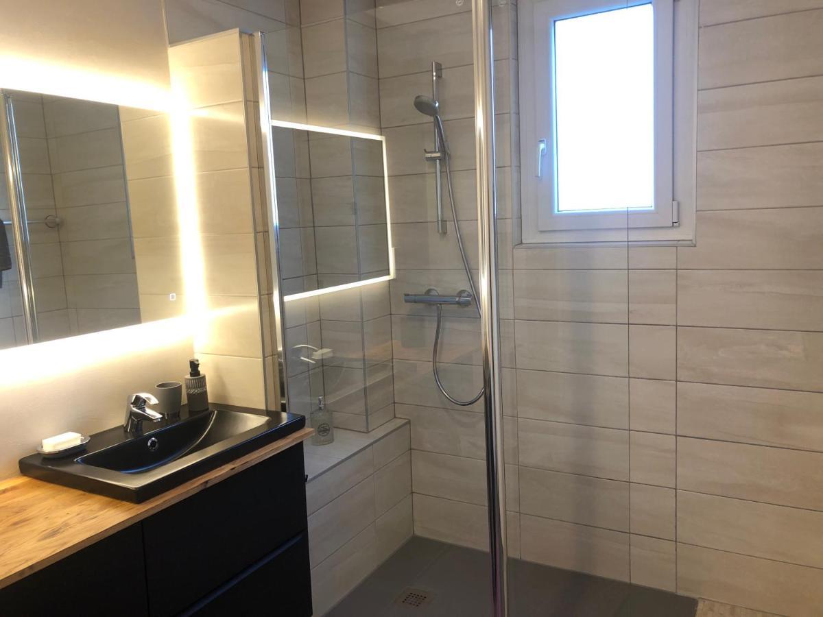 Appartement L'Oeil De Colmar Zewnętrze zdjęcie